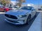 2019 Ford Mustang EcoBoost BLIS | CarPlay/Android Auto | SYNC 3