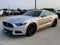 2017 Ford Mustang GT Premium | Performance Pkg | Manual Trans | Red Interior