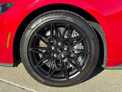 2024 Ford Mustang GT Premium | GT Performance Pkg. | Nite Pony Pkg.