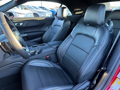 2024 Ford Mustang GT Premium | GT Performance Pkg. | Nite Pony Pkg.