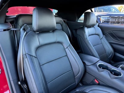 2024 Ford Mustang GT Premium | GT Performance Pkg. | Nite Pony Pkg.