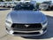 2025 Ford Mustang EcoBoost Premium Convertible
