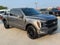 2024 Ford F-150 Platinum | Pano Roof | 360 Camera | Bluecruise