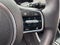2025 Kia Carnival SX | Dark Edition | Dual Sunroofs